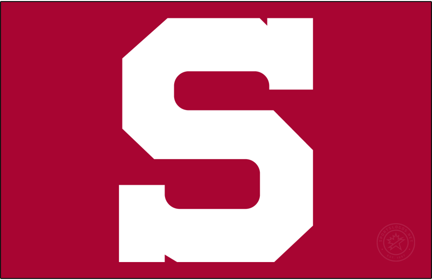 Stanford Cardinal 1966-1979 Primary Dark Logo diy DTF decal sticker